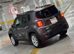 جيب رينيجيد